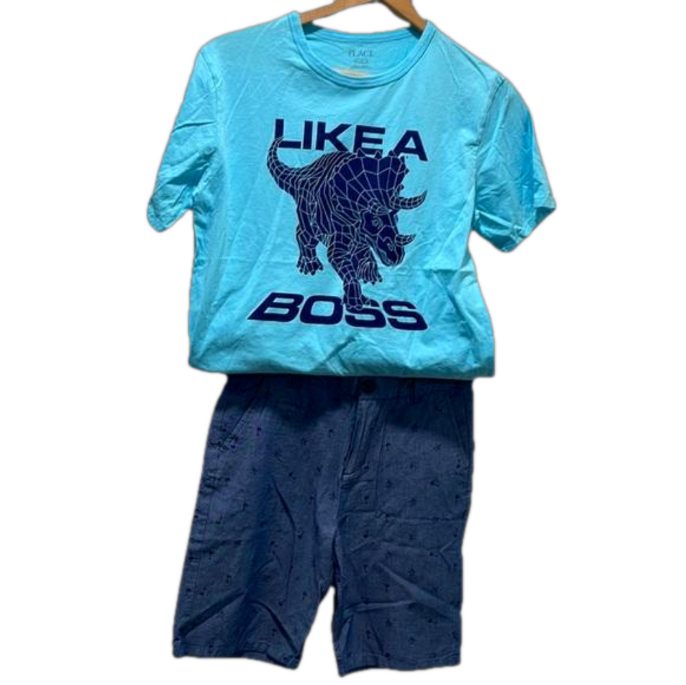 The childrens place & penguin  blue
boys set size 16 GUC
